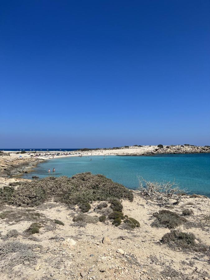 Villa Hellas Afiartis Екстериор снимка