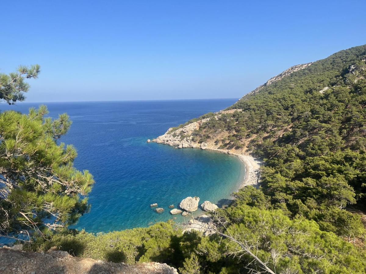 Villa Hellas Afiartis Екстериор снимка